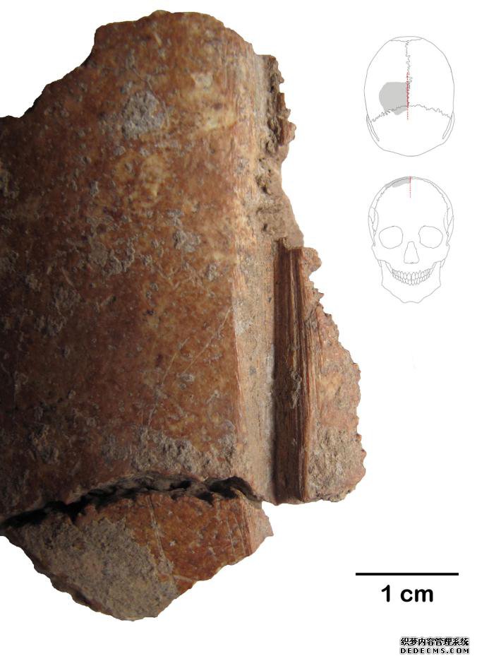 ­Ƭһ10000ǰʯߵ̵ĺۼ  ӰGerman Archaeological Institute 
