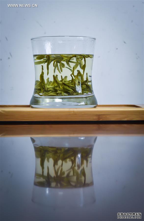 West Lake Longjing tea leaves harvested ahead of Qingming Festival