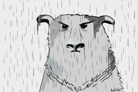 ȸֵܹ˾Զʻγר˳˾᣿ :