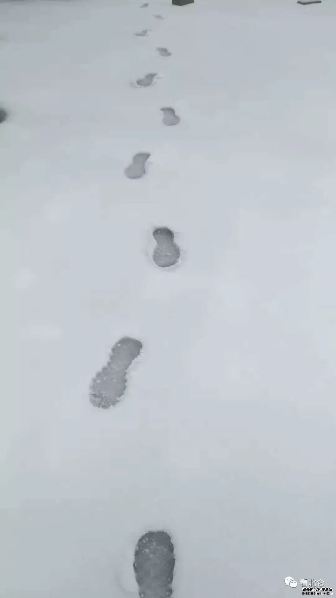 ػѩ5 񡰱¡