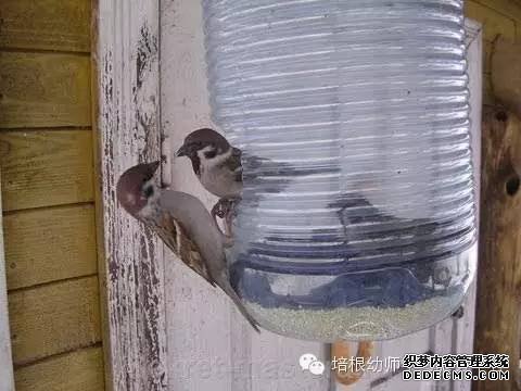 ԭƿô淨뵽