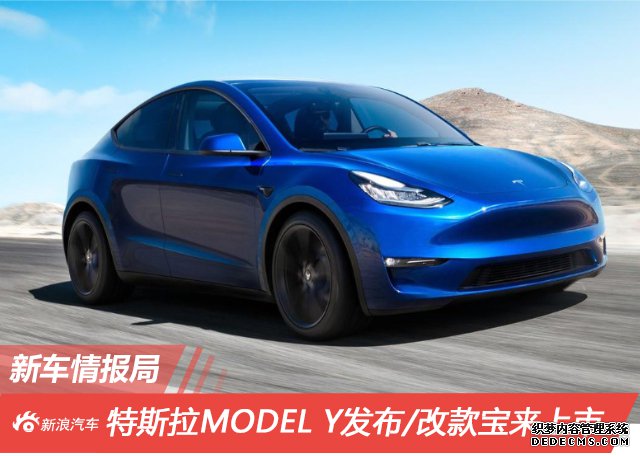 ³鱨|˹MODEL Y/Ŀ