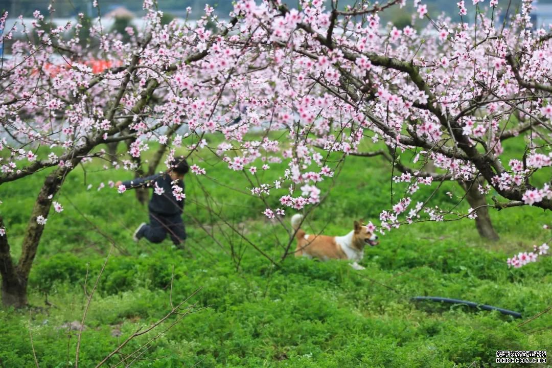 մֳ̬ҳϷȫʮ﷼