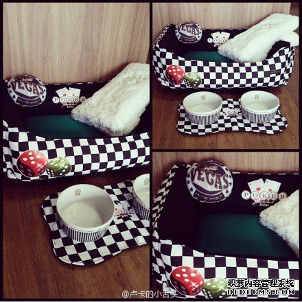 ̳ǿᰮ˿ ﹷPoker