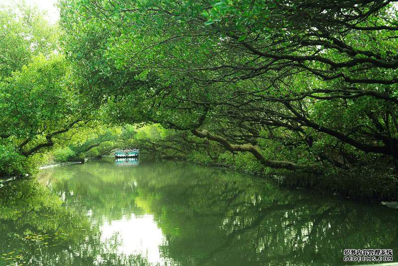 全球最干净的河:占世界河流流量的20%,河内生存着许多未知生物
