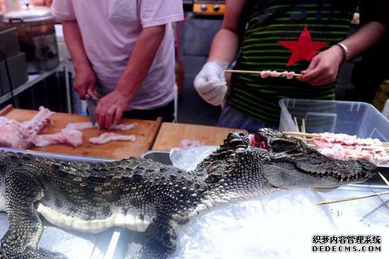鳄鱼肉好吃吗?沈阳夜市惊现鳄鱼烤串,一晚能卖4000元