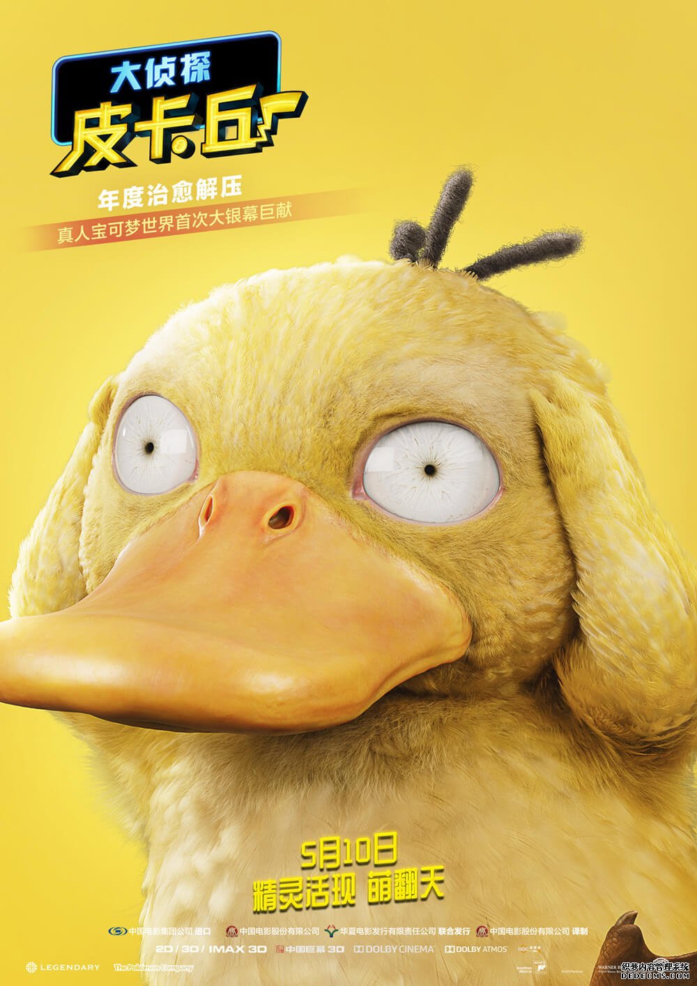ڴϼһ