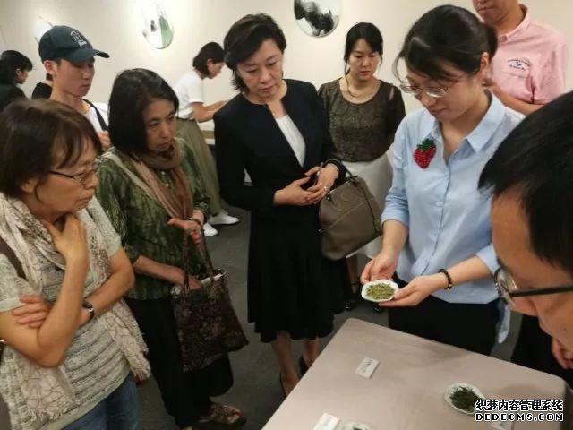 以茗会宾朋 茶都展魅力 杭州以茶为媒激发文化共鸣