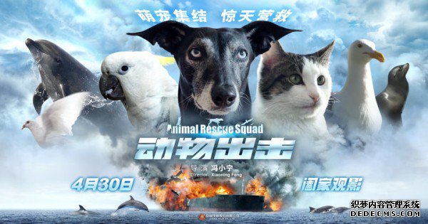 北京国际电影节红毯遇最萌年龄差 《动物出击》型男萌娃CP吸睛
