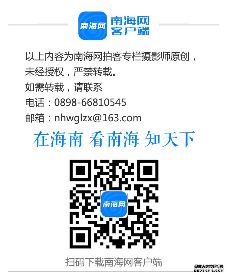羰续ֵ̬ҳϷа񡱳ߵĺڷʪع԰÷