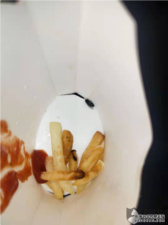 Ϧҹ;ͲͳԳһֻӬ :Ҳ